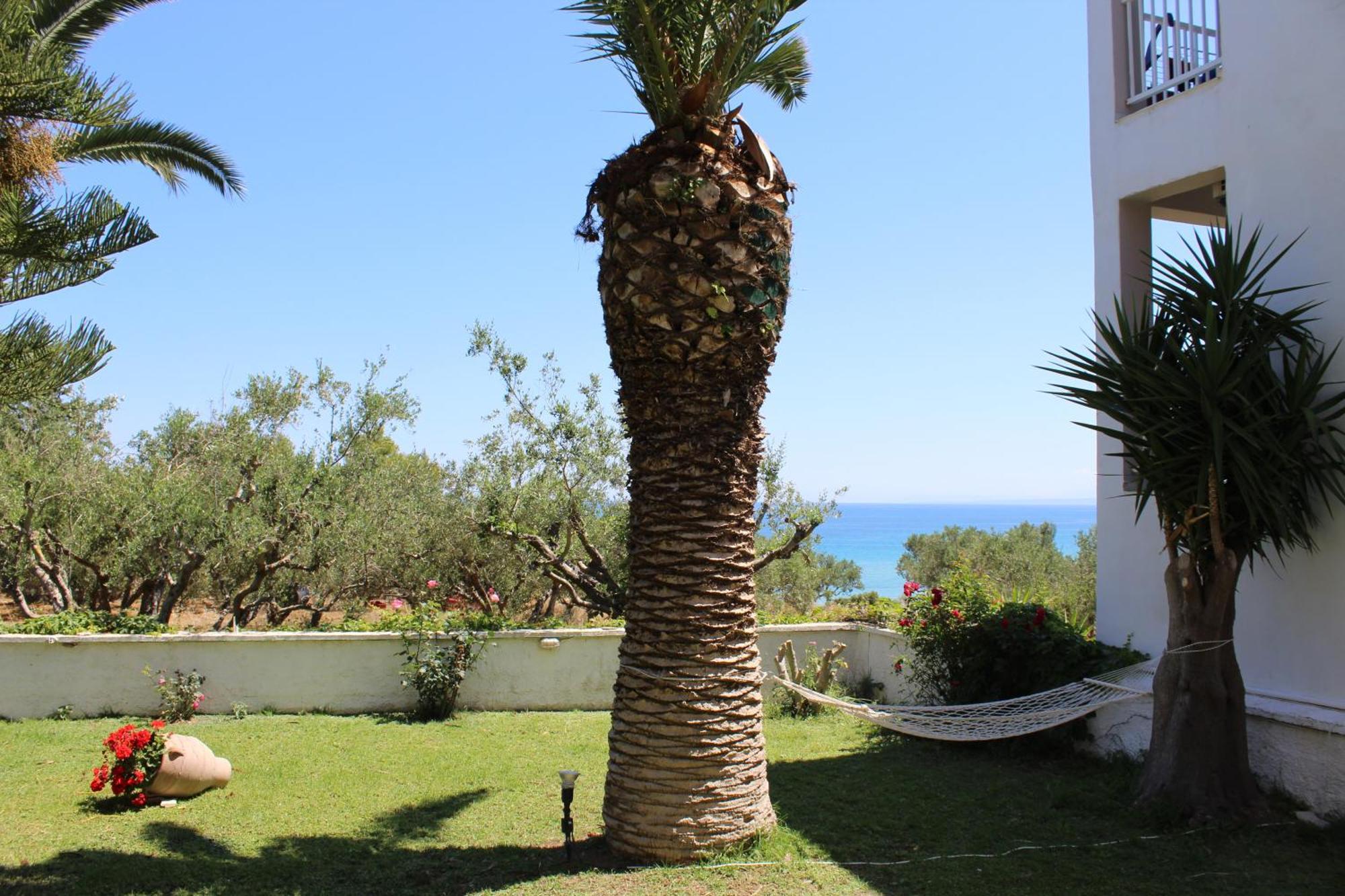 Panorama & Appartement *